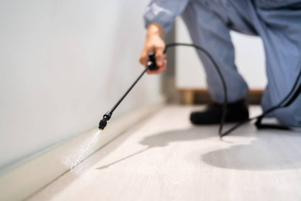Licensed Cockroach Control service in Minneola, FL - Nex Pest Control
