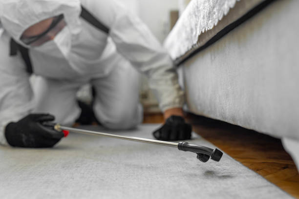 Professional Cockroach Control technician working in Minneola, FL
