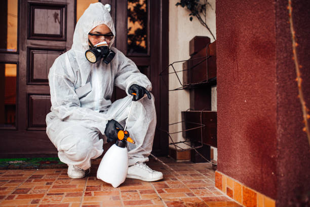 Reliable Cockroach Control contractor in Minneola, FL by Nex Pest Control