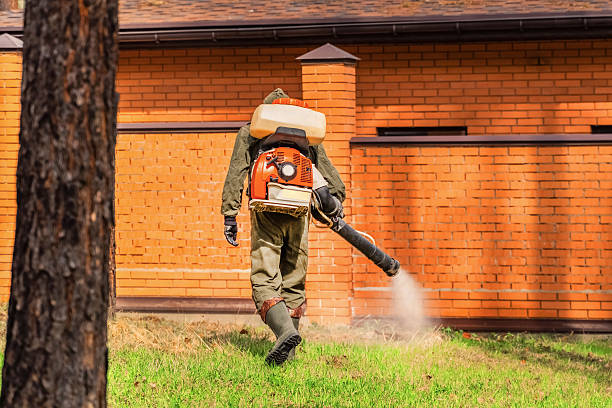 Trusted Cockroach Control service in Minneola, FL - Nex Pest Control